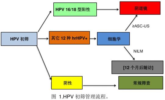 《2015年ASCCP指南》 《2015年ASCCP指南》