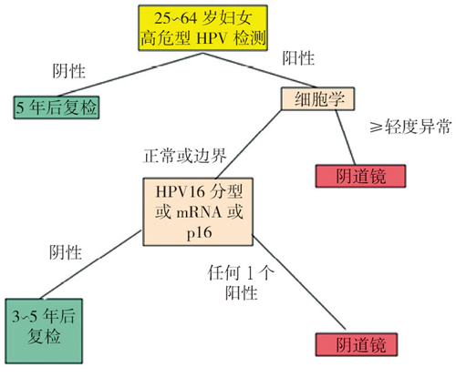 郎景和院士谈子宫颈癌的防治策略 郎景和院士谈子宫颈癌的防治策略