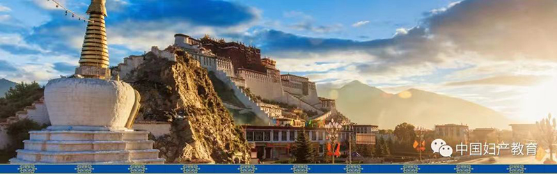 走进拉萨 | 中国子宫颈癌三级规范化防治蓝皮书解读巡讲会成功召开! 走进拉萨 | 中国子宫颈癌三级规范化防治蓝皮书解读巡讲会成功召开!