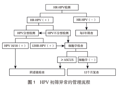 临床指南|中国子宫颈癌筛查指南(二) 临床指南|中国子宫颈癌筛查指南(二)