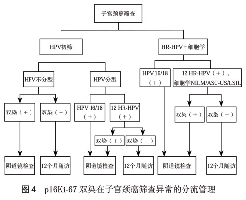 临床指南|中国子宫颈癌筛查指南(二) 临床指南|中国子宫颈癌筛查指南(二)